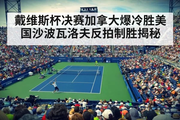 戴维斯杯决赛加拿大爆冷胜美国沙波瓦洛夫反拍制胜揭秘